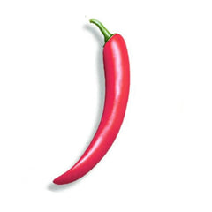 Vegetable & Fruit-Shaped Vibrator - Passion Pulse Adult