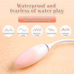 Cola Remote Control Vibrating Egg – Clitoral Vibrator - Passion Pulse Adult