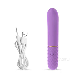 10-Speed Rechargeable Mini Bullet Vibrator - Passion Pulse Adult