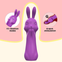 Rabbit Vibrator with Sucking Function - Passion Pulse Adult