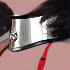 Lockable Stainless Steel Neck Collar | BDSM Bondage Fetish Dog Collar | Secure Neck Harness for Men and Women