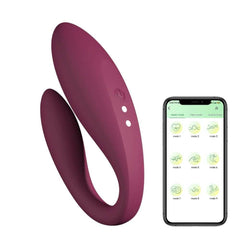 APP Remote Control Vibrator