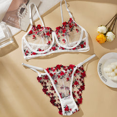 Embroidered mesh lace sexy bust bra set